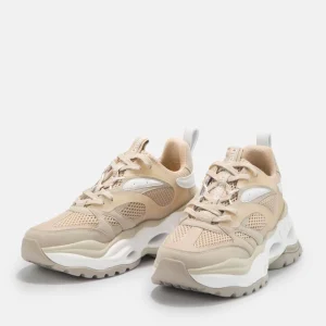 Women BUFFALO Vegan Shoes^Triplet M Sneaker Low Vegan